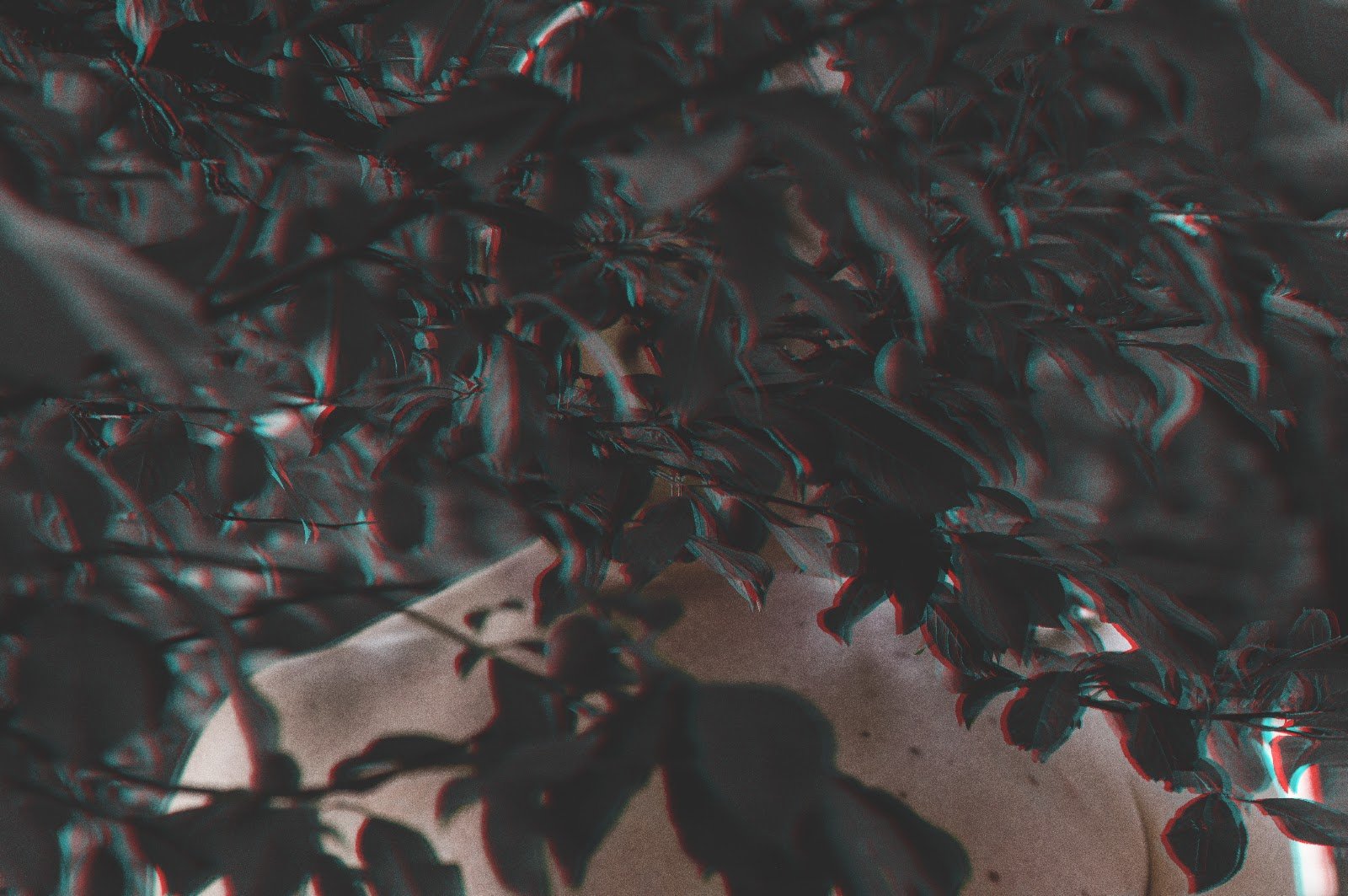 Hidden