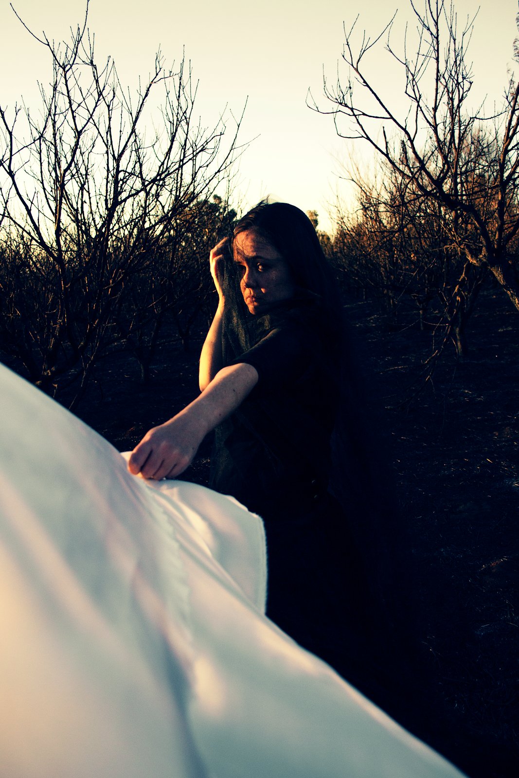 Burnt orchard, staged photograph