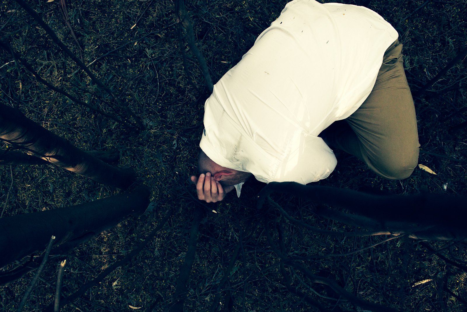 Trapped in the trees, staged photograph